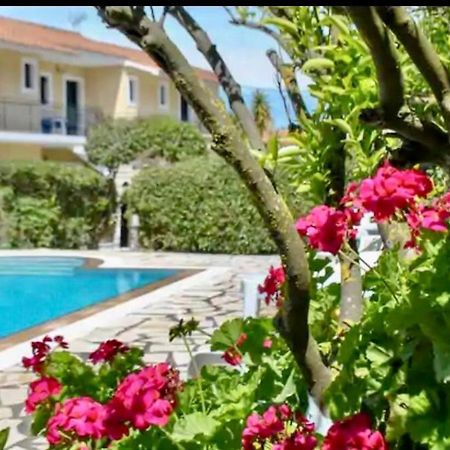 Lemon Tree Apartments B C Argostoli (Kefalonia) Exterior photo